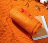 Плед для пикника Comfy, оранжевый