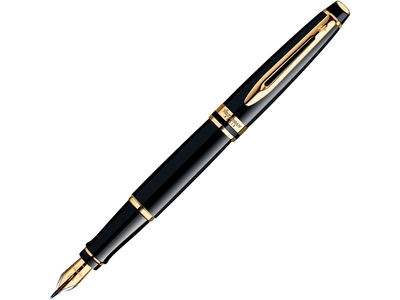 Ручка перьевая Waterman модель Expert 3 Black GT в футляре