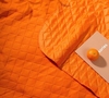 Плед для пикника Soft & Dry 2, оранжевый